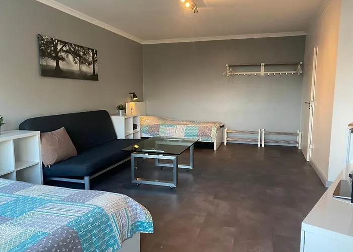 公寓 1 A Modern 杜伊斯堡